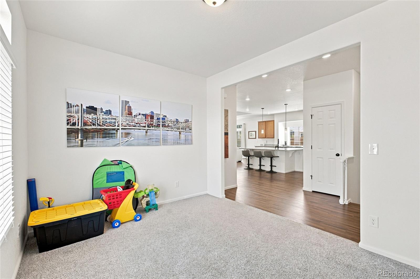 MLS Image #23 for 58 s oak hill court,aurora, Colorado