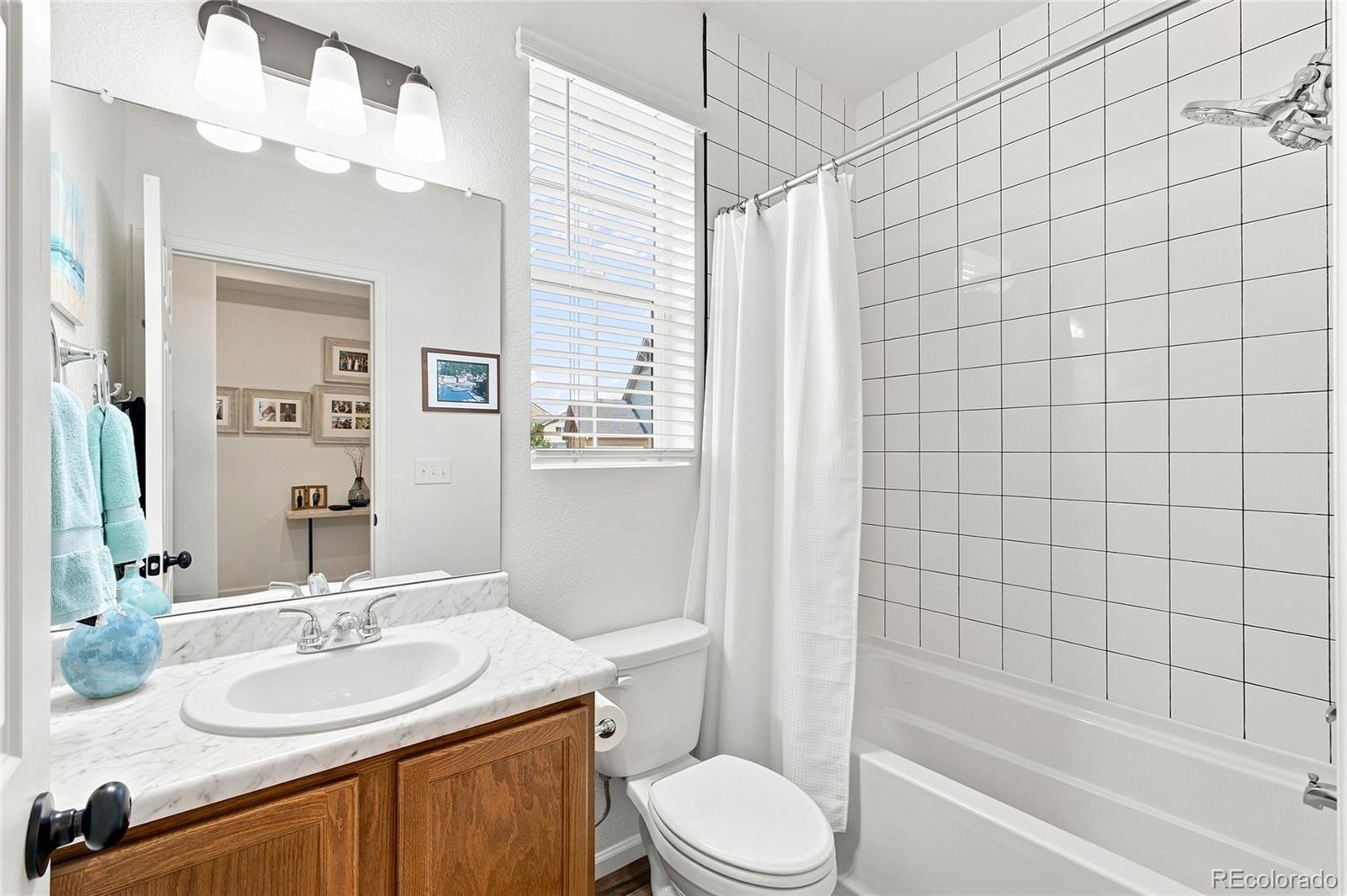 MLS Image #27 for 58 s oak hill court,aurora, Colorado
