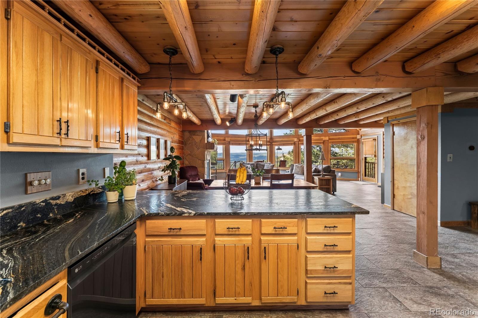 MLS Image #11 for 102  douglas fir lane,woodland park, Colorado