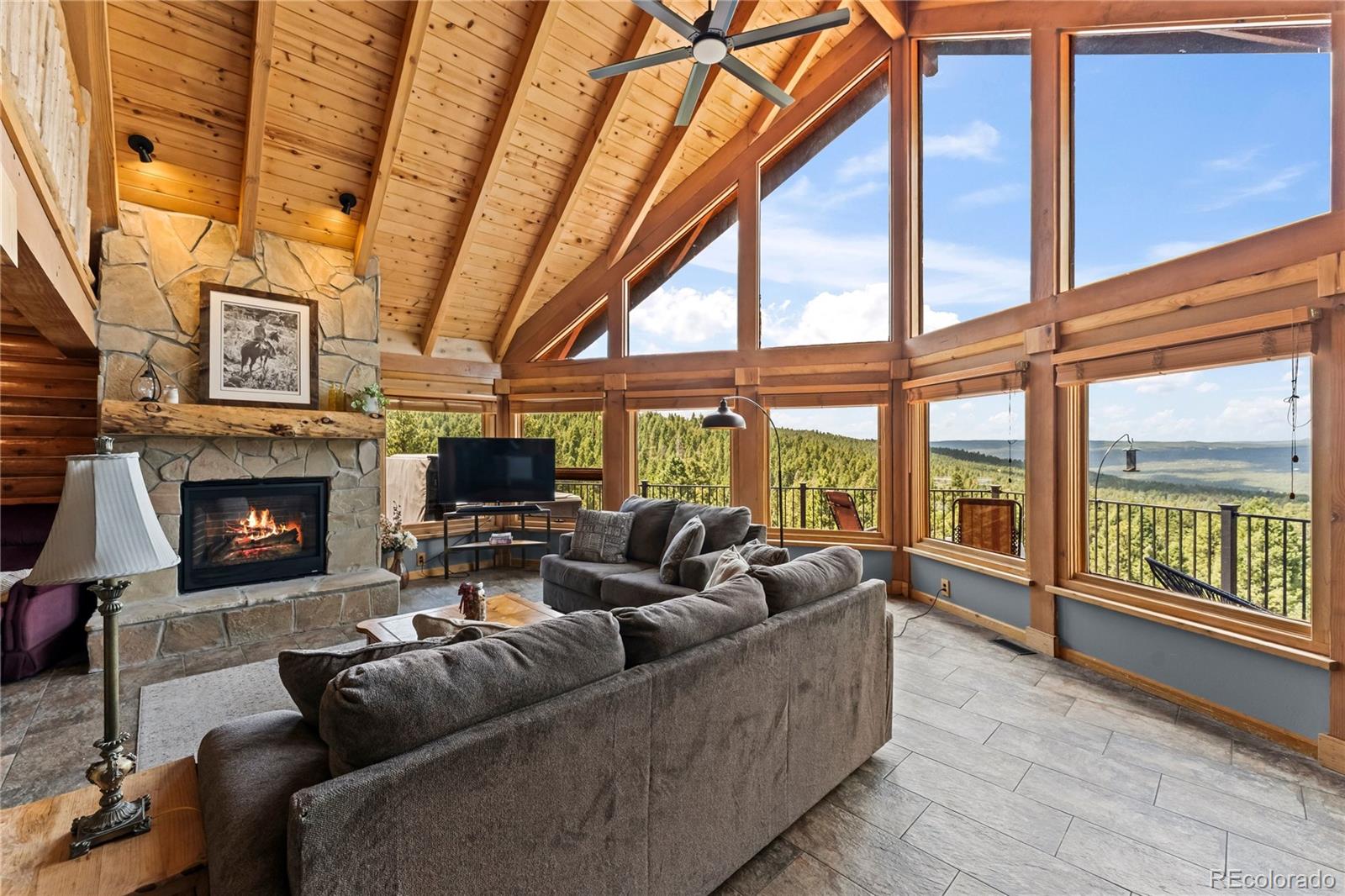 MLS Image #2 for 102  douglas fir lane,woodland park, Colorado