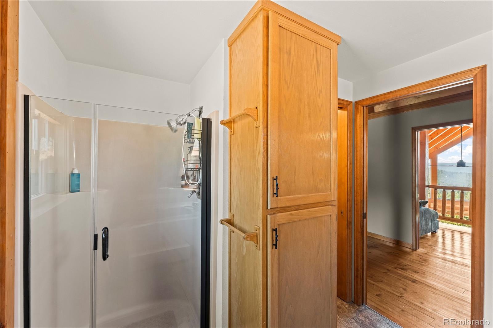 MLS Image #20 for 102  douglas fir lane,woodland park, Colorado