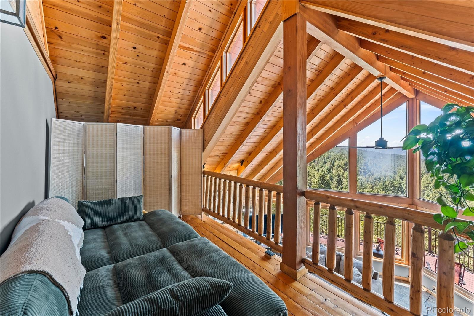MLS Image #21 for 102  douglas fir lane,woodland park, Colorado