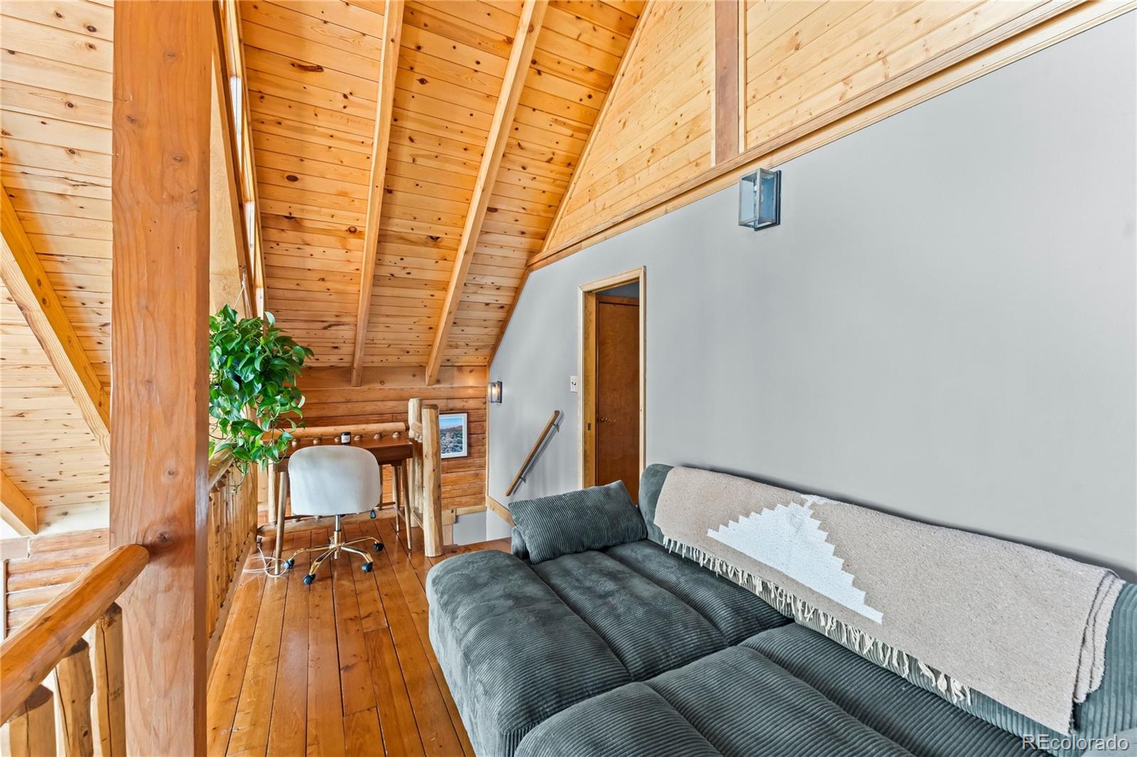MLS Image #22 for 102  douglas fir lane,woodland park, Colorado