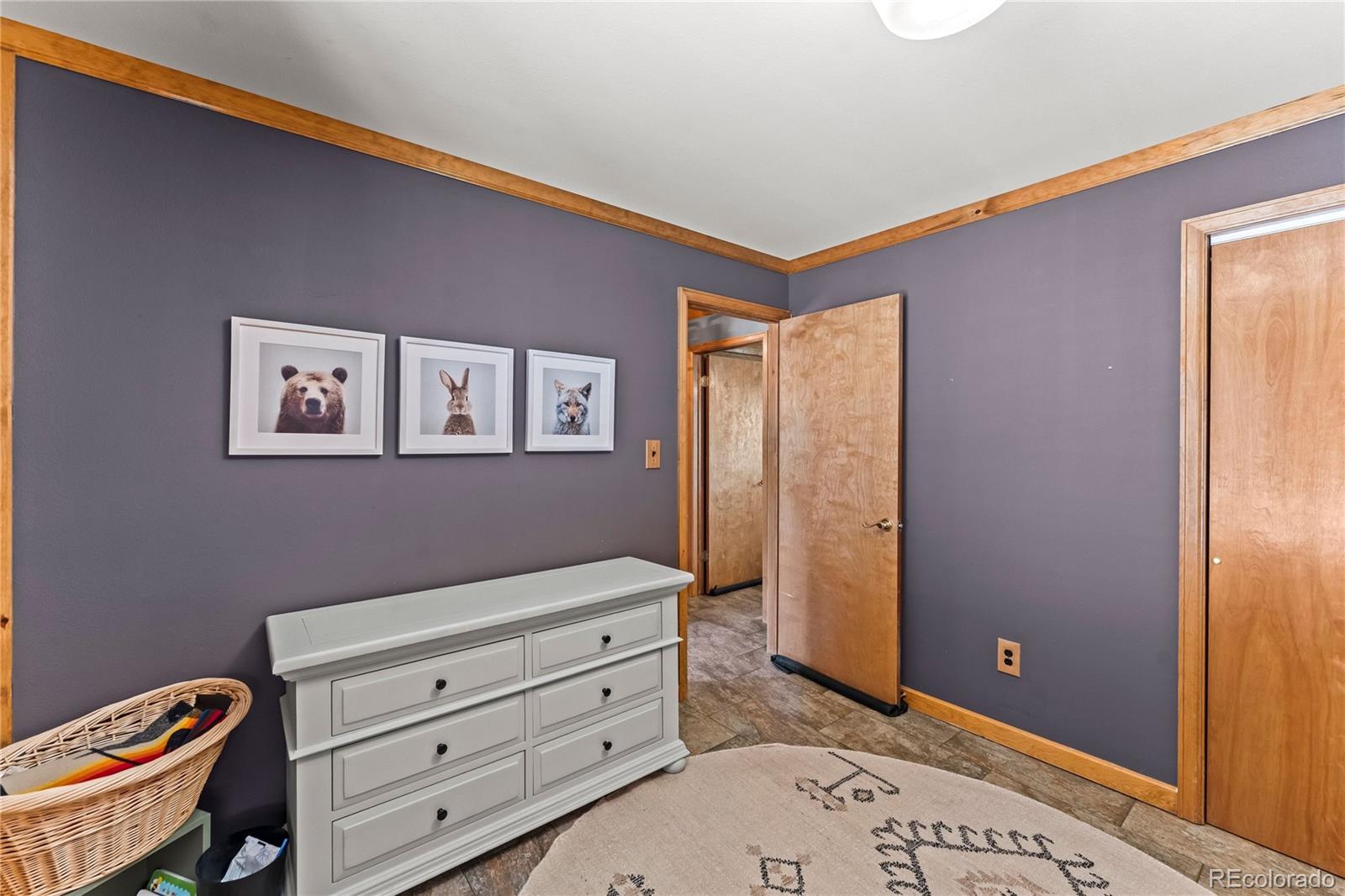MLS Image #24 for 102  douglas fir lane,woodland park, Colorado
