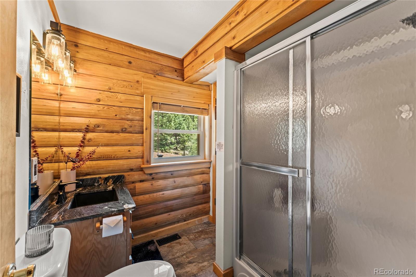 MLS Image #28 for 102  douglas fir lane,woodland park, Colorado