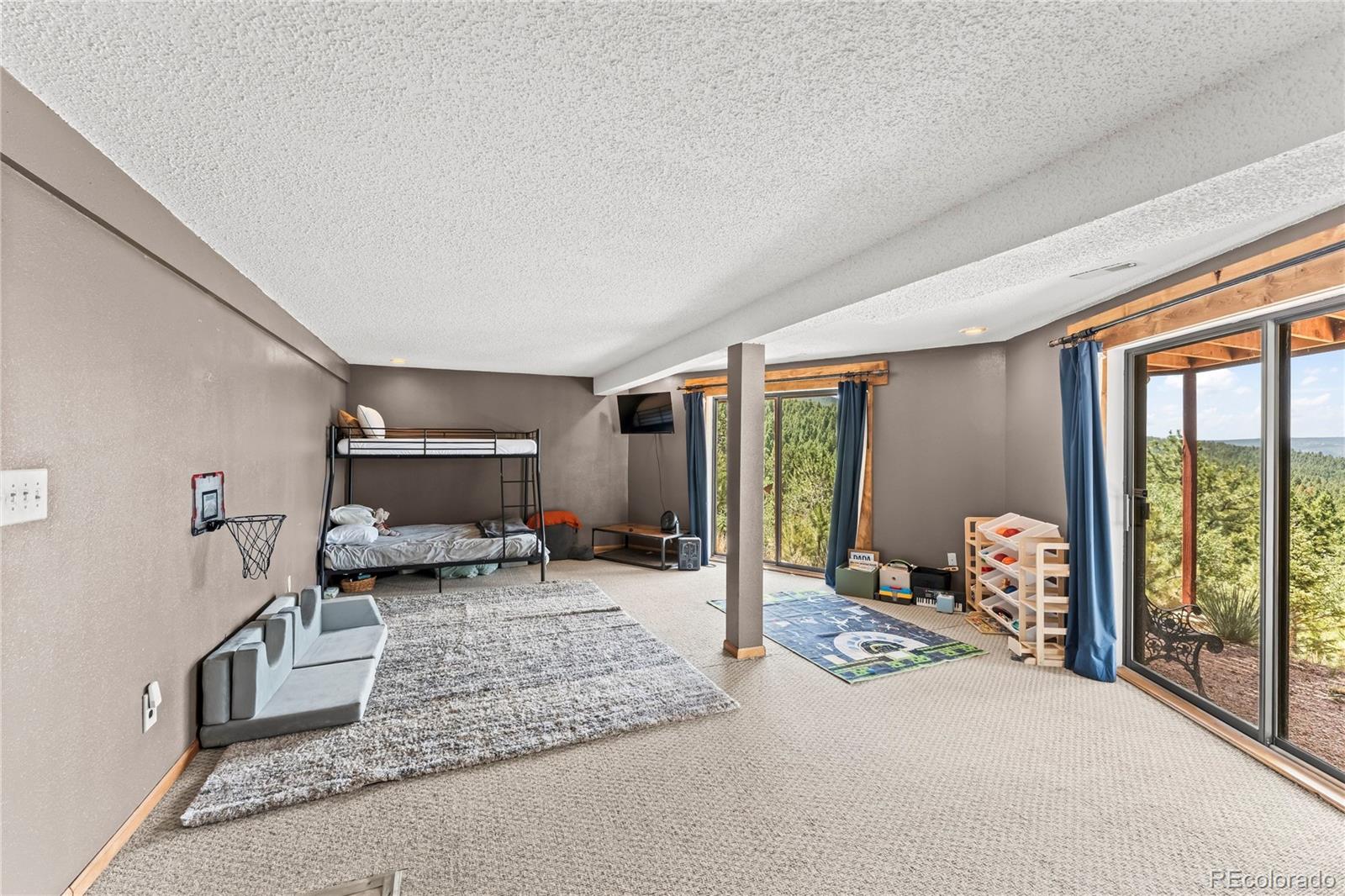 MLS Image #30 for 102  douglas fir lane,woodland park, Colorado