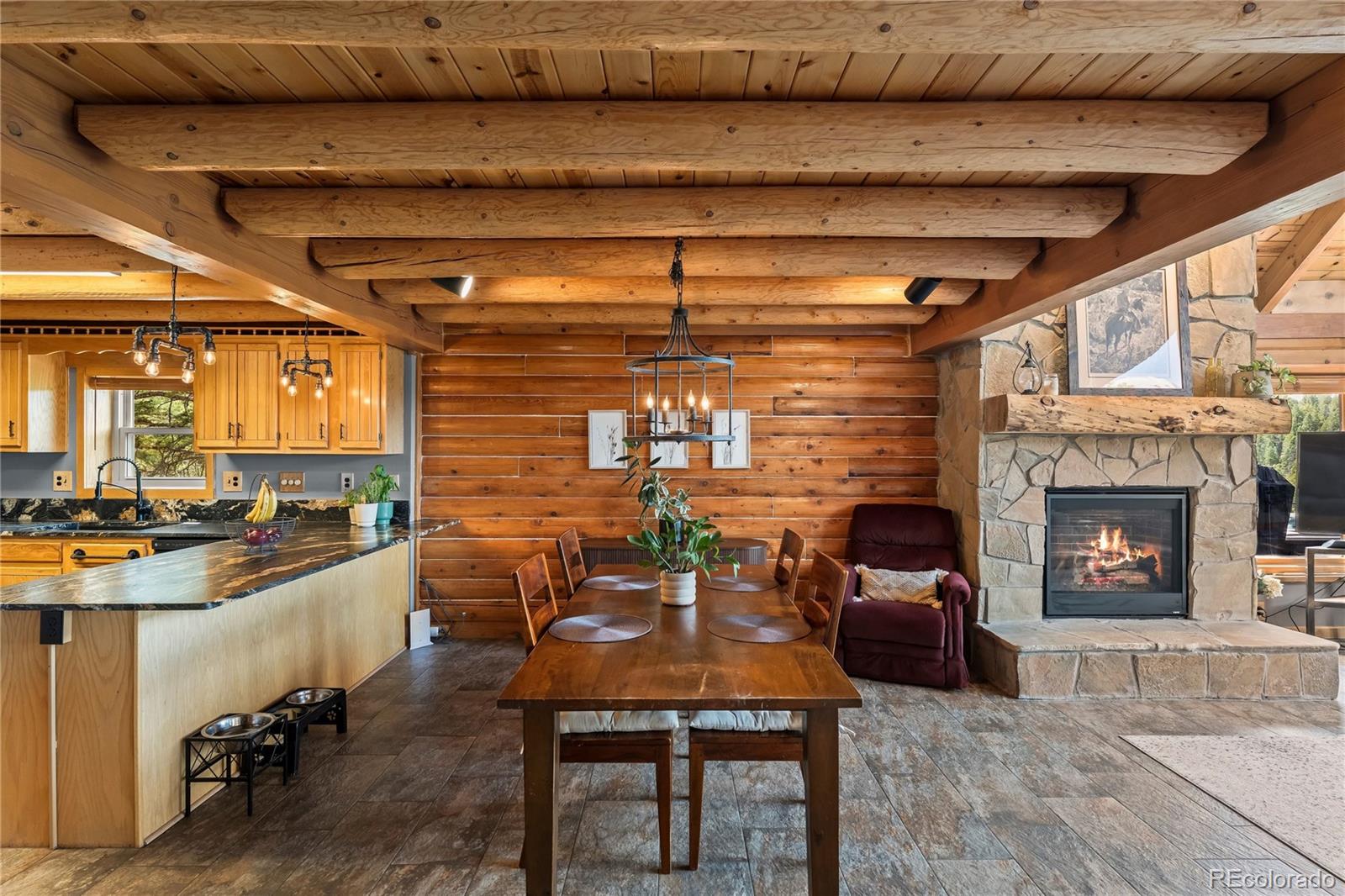 MLS Image #8 for 102  douglas fir lane,woodland park, Colorado
