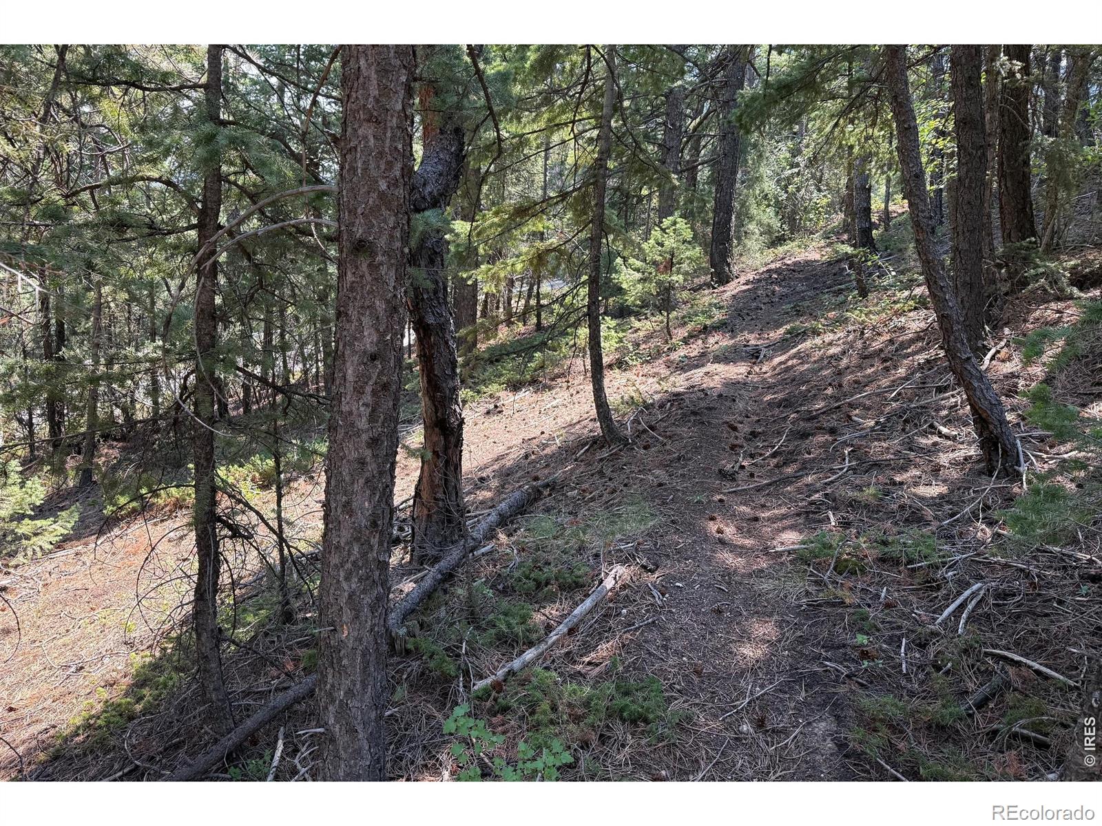 MLS Image #19 for 2926  magnolia drive,nederland, Colorado