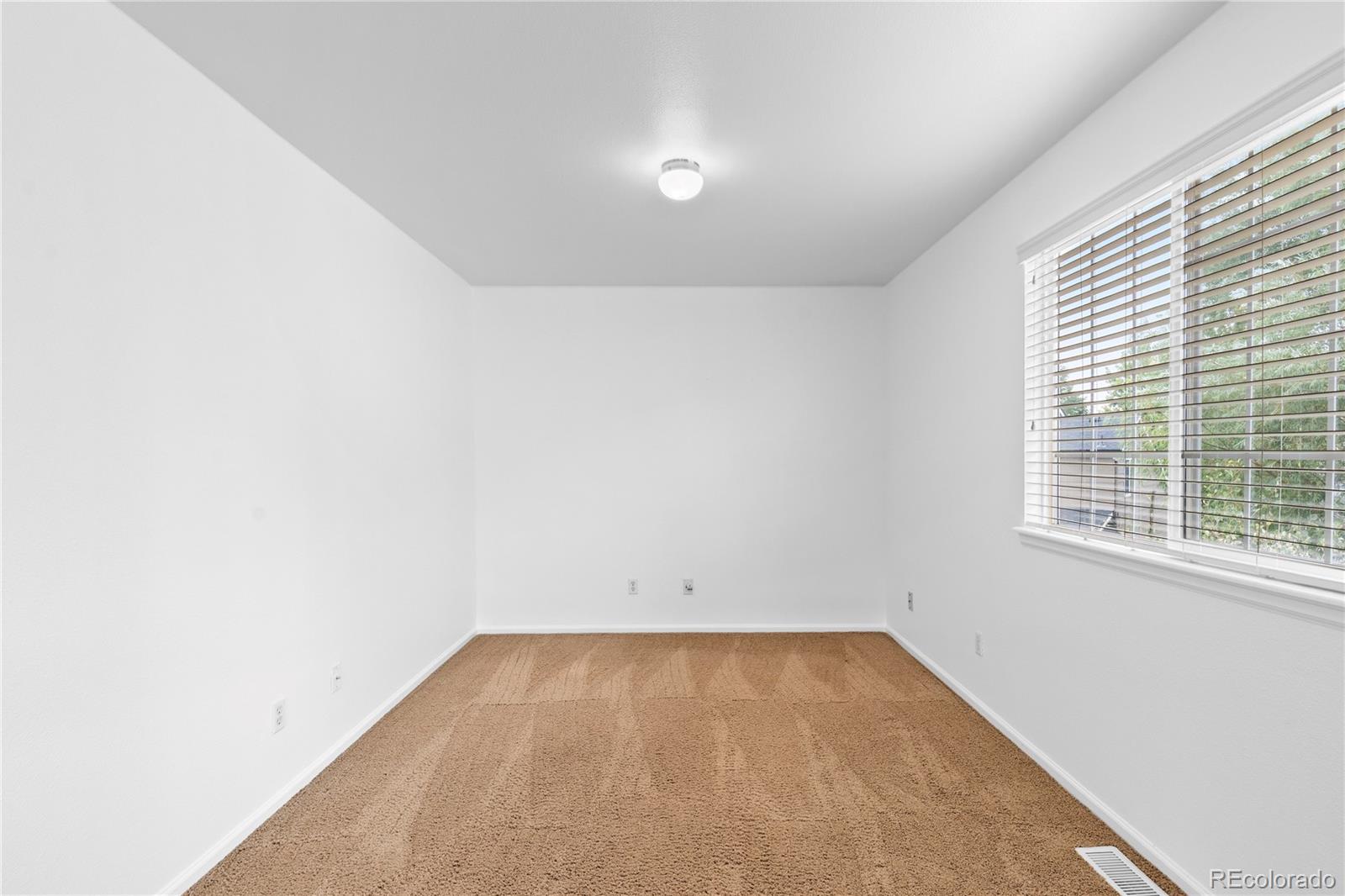 MLS Image #21 for 9676  silverberry circle,littleton, Colorado