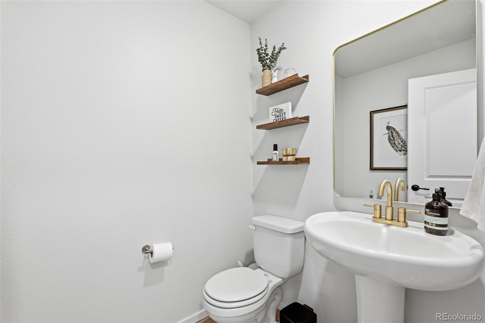 MLS Image #17 for 5771  stone fly drive,timnath, Colorado