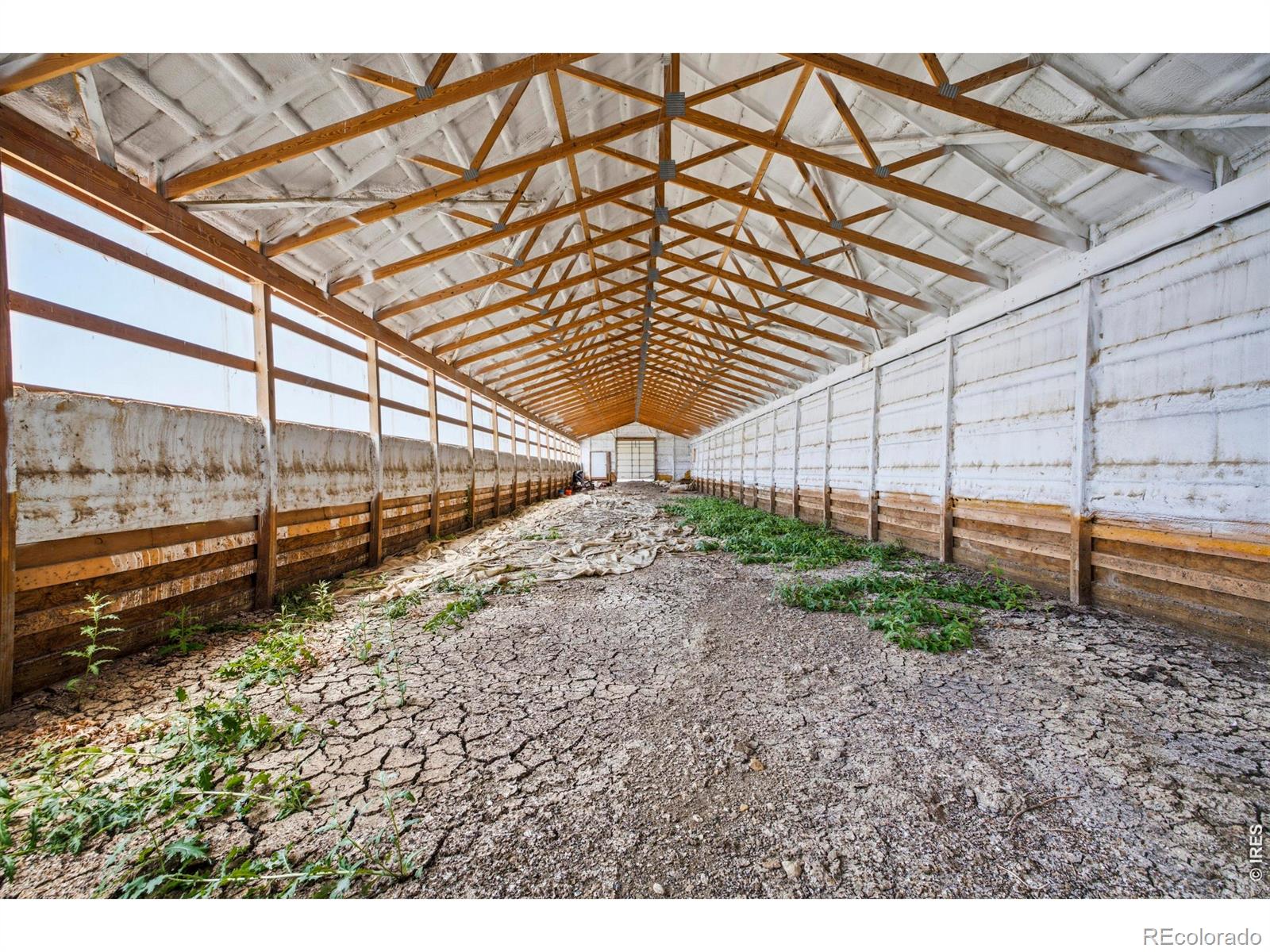 MLS Image #35 for 52990  county road 17 ,carr, Colorado