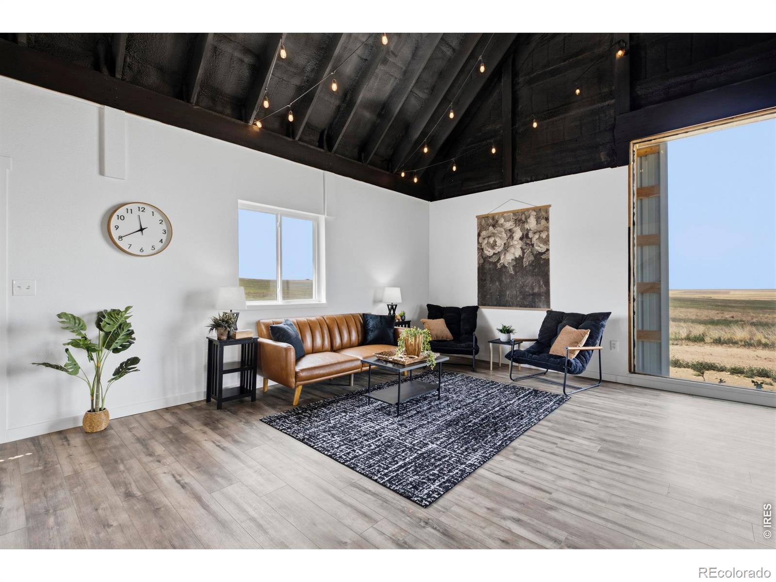 MLS Image #6 for 52990  county road 17 ,carr, Colorado