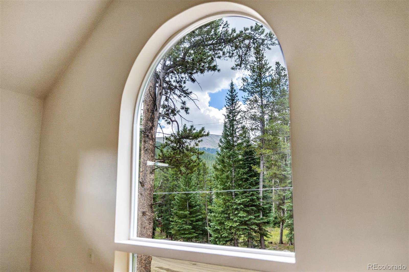 MLS Image #21 for 17  blue grouse trail,blue river, Colorado