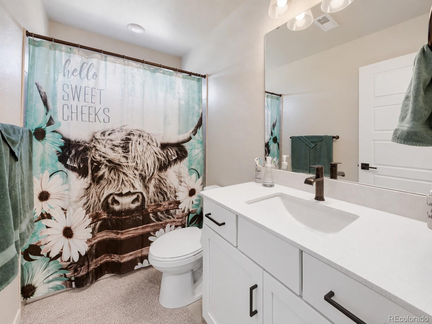 MLS Image #21 for 3835  sandy vista trail,castle rock, Colorado
