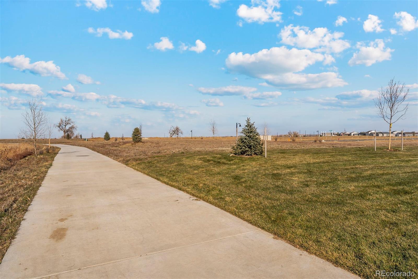 MLS Image #9 for 2251  christina street,fort lupton, Colorado