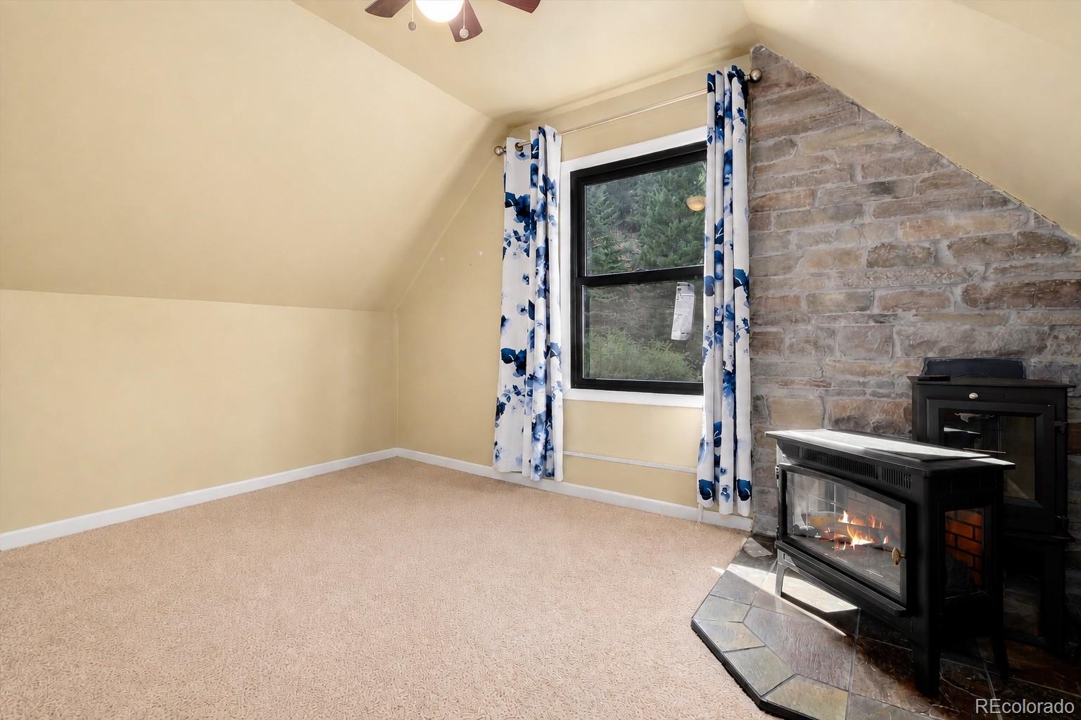 MLS Image #19 for 403  fall river road,idaho springs, Colorado