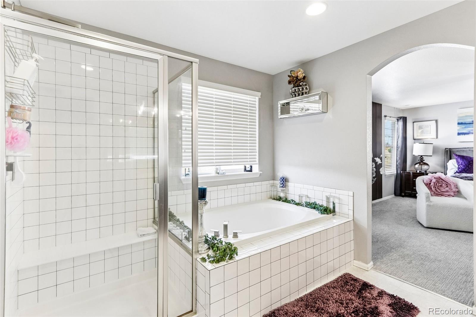 MLS Image #21 for 22537 e union circle,aurora, Colorado