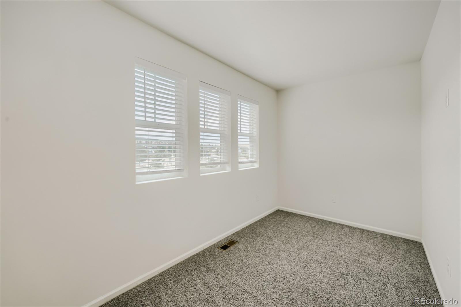 MLS Image #19 for 3658  happyheart way,castle rock, Colorado