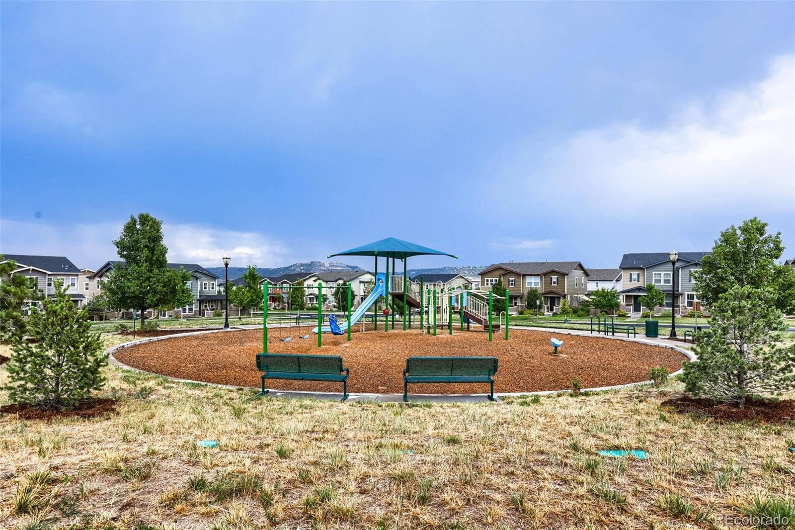 MLS Image #25 for 3658  happyheart way,castle rock, Colorado