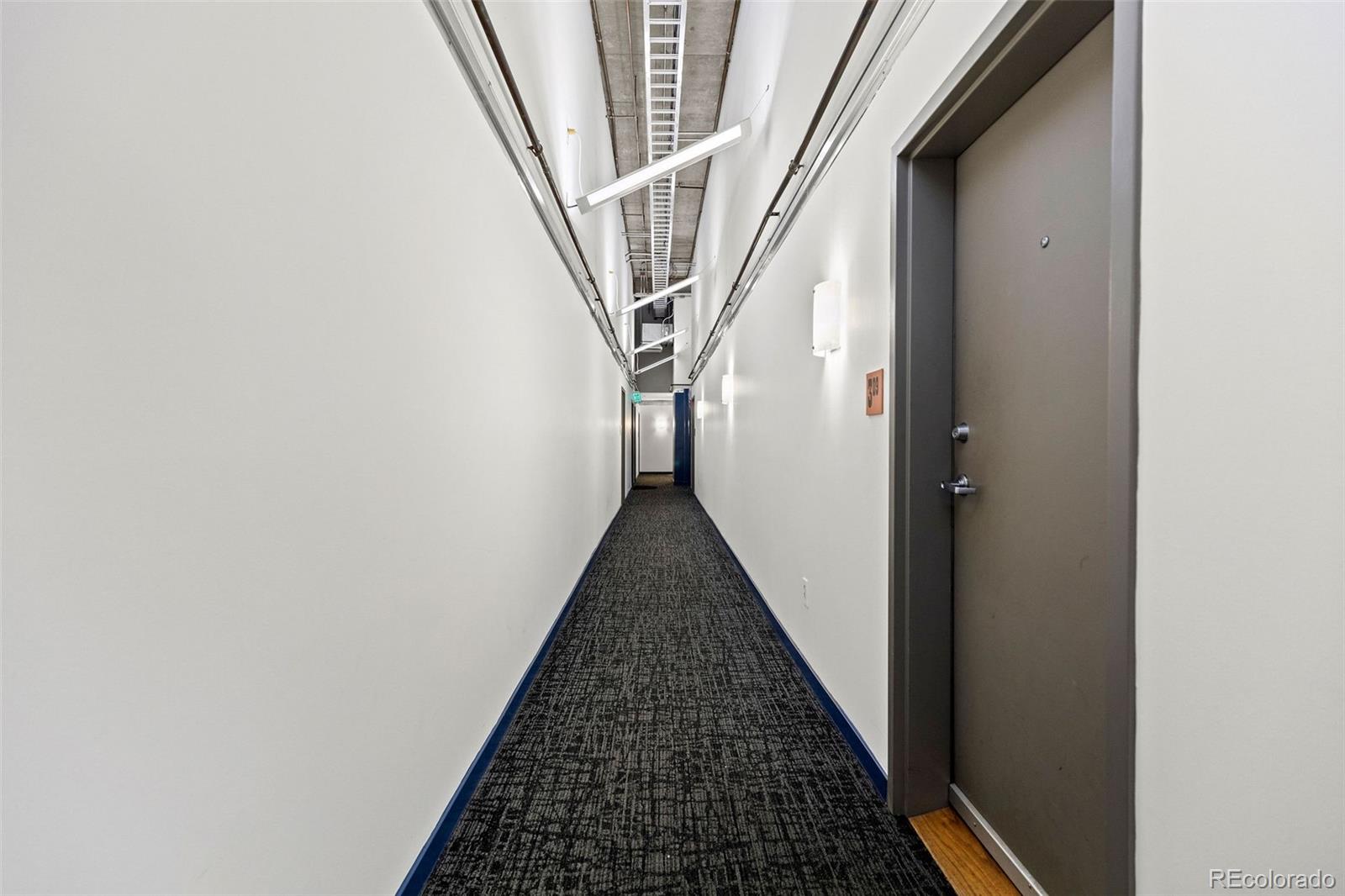 MLS Image #13 for 1050  cherokee street,denver, Colorado