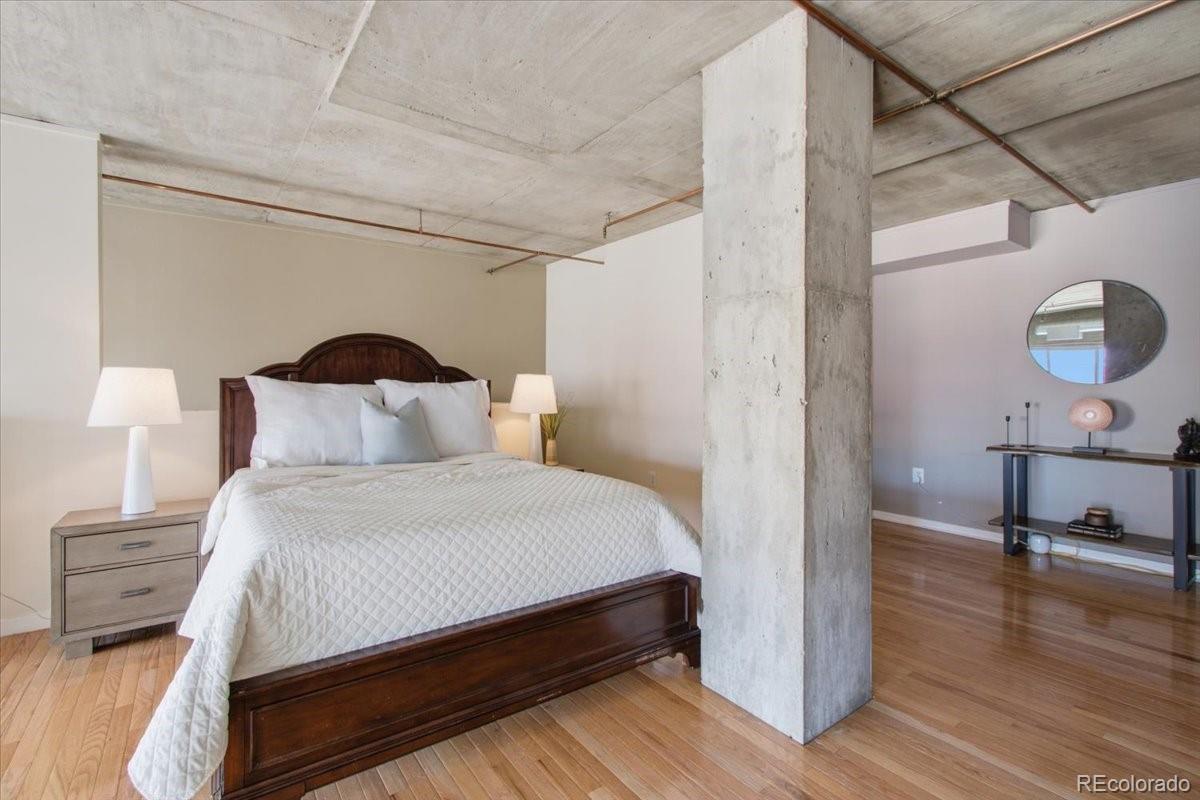 MLS Image #9 for 1050  cherokee street,denver, Colorado