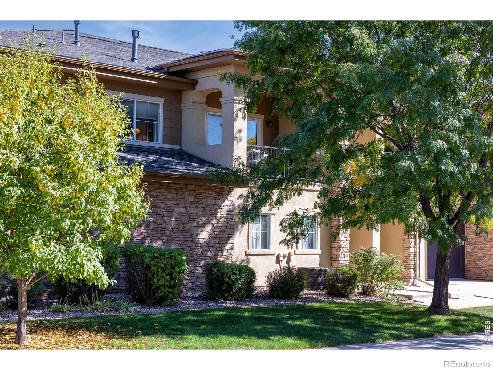 MLS Image #1 for 1012  sonoma circle,longmont, Colorado