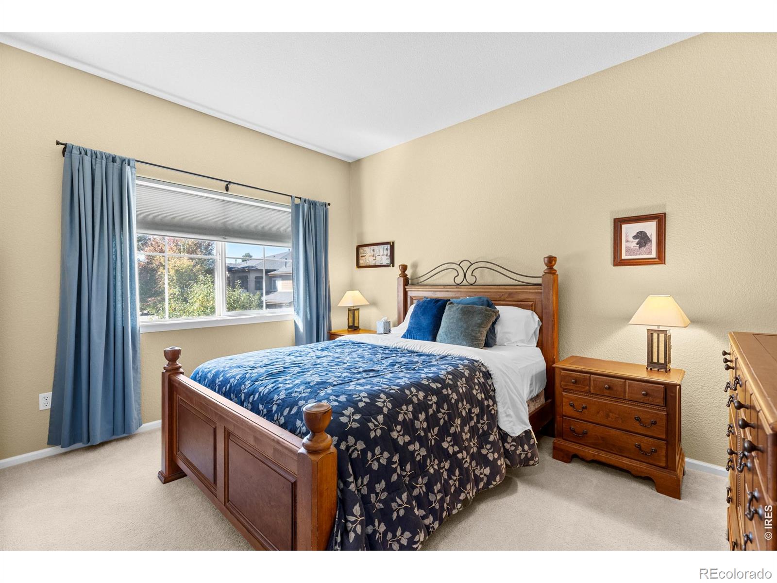 MLS Image #16 for 1012  sonoma circle,longmont, Colorado