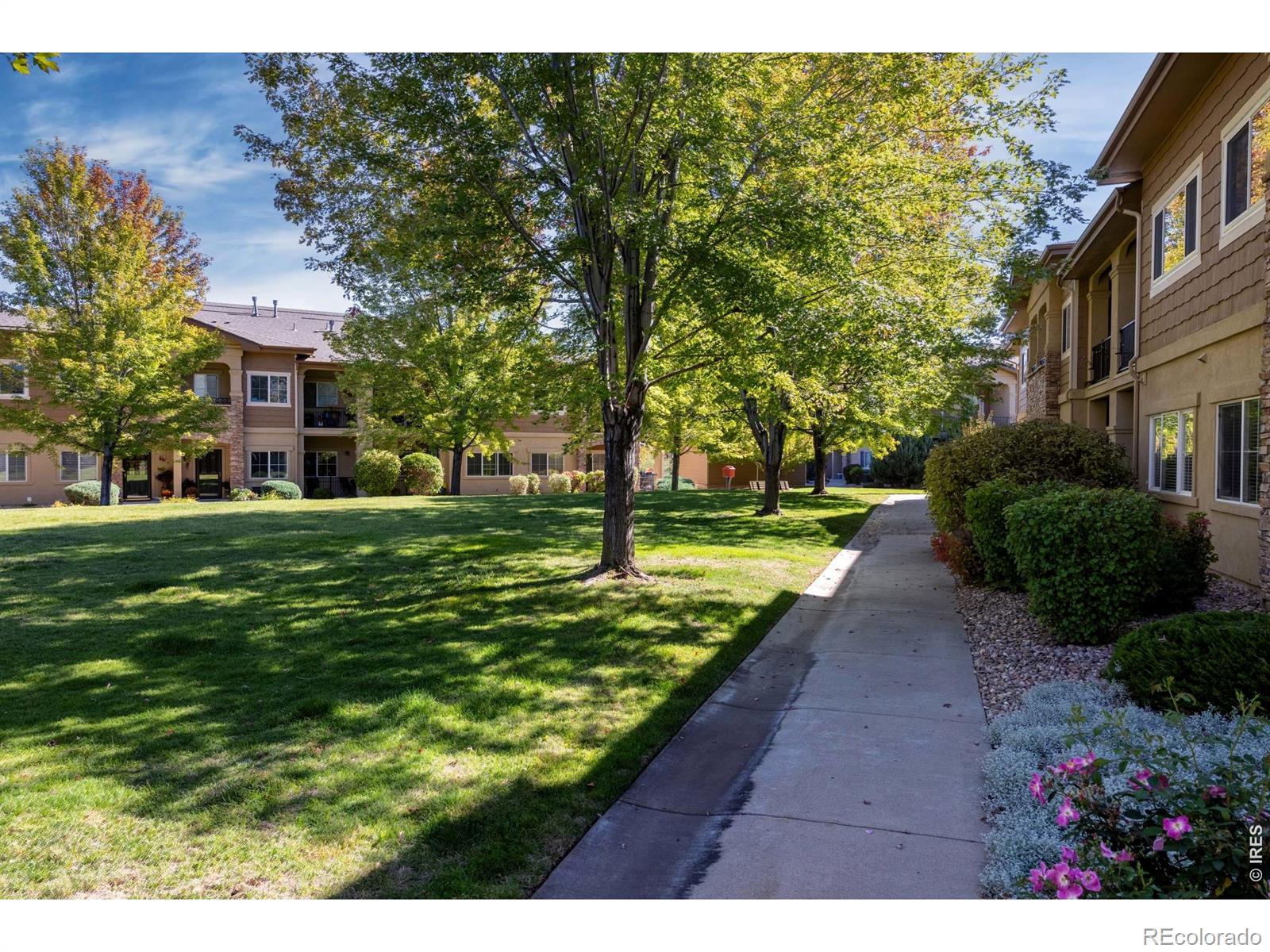 MLS Image #29 for 1012  sonoma circle,longmont, Colorado