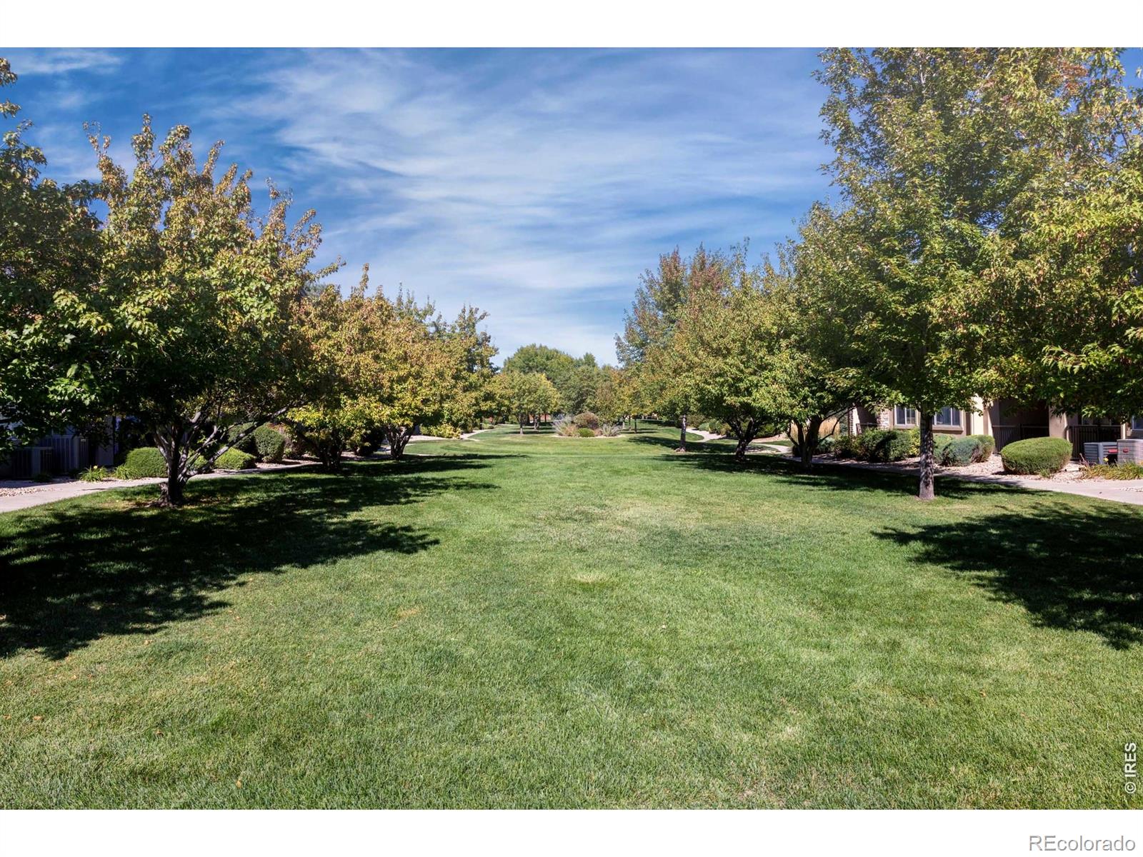 MLS Image #30 for 1012  sonoma circle,longmont, Colorado