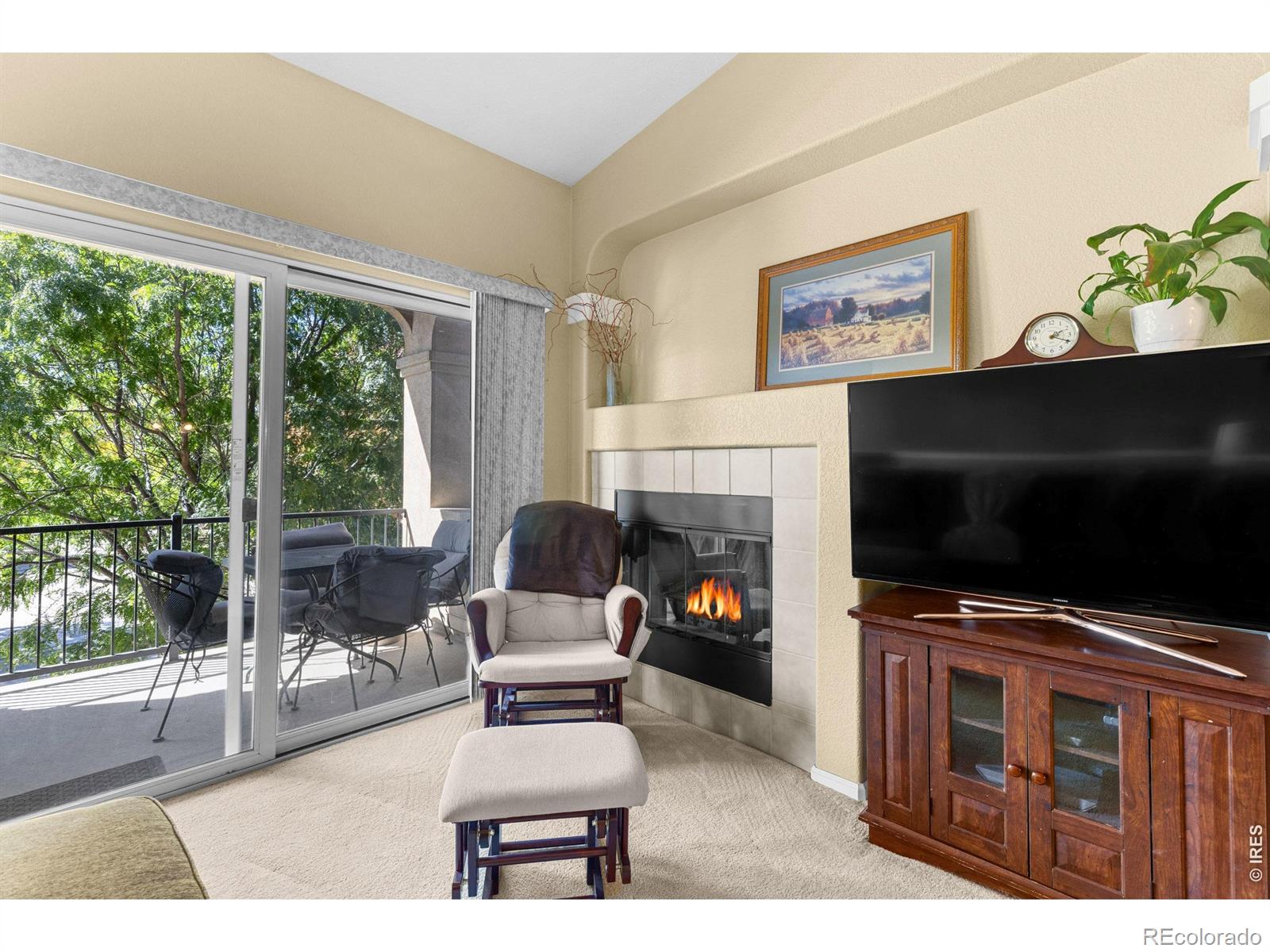 MLS Image #6 for 1012  sonoma circle,longmont, Colorado