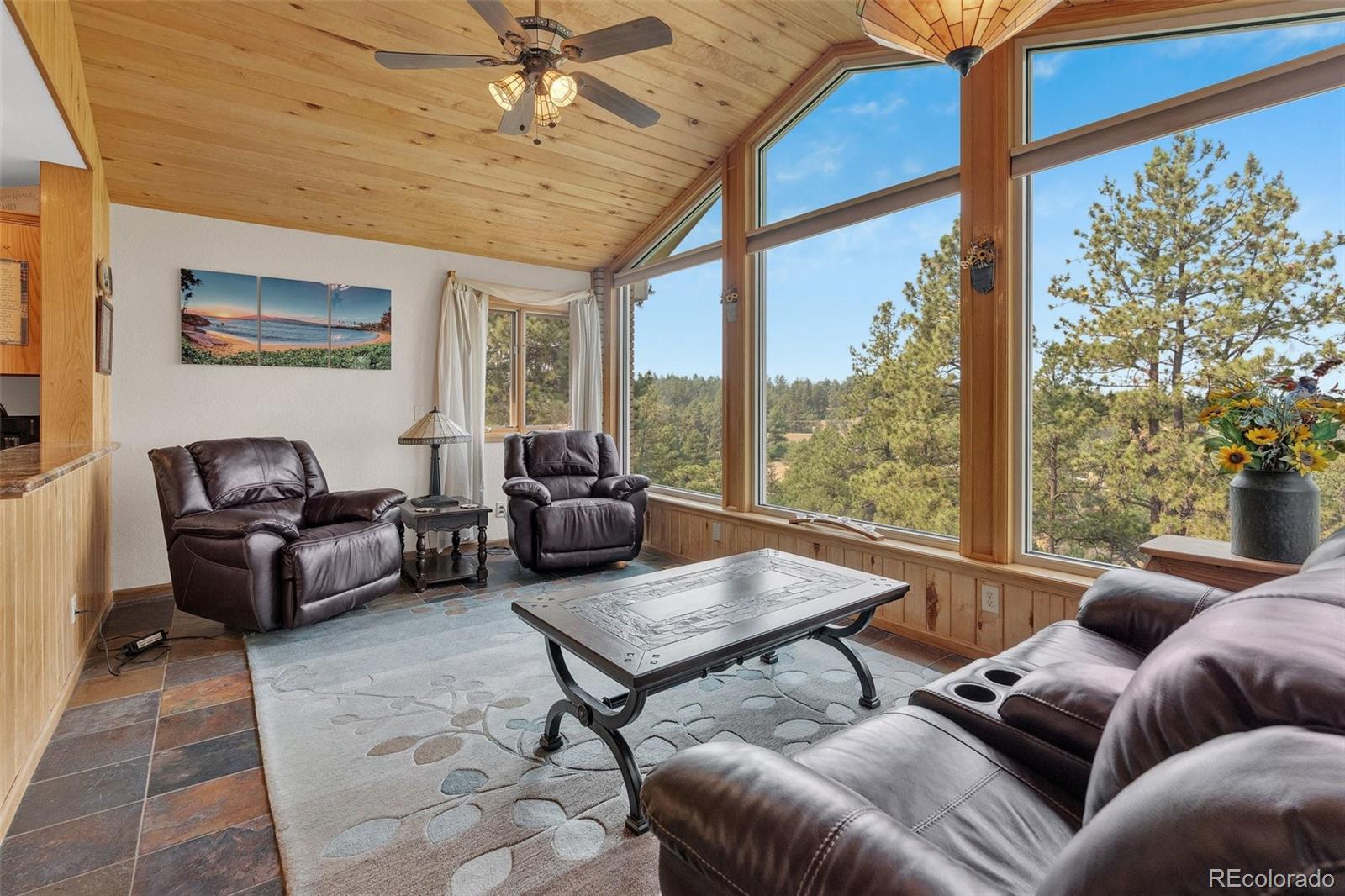 MLS Image #15 for 915 n bluff drive,franktown, Colorado