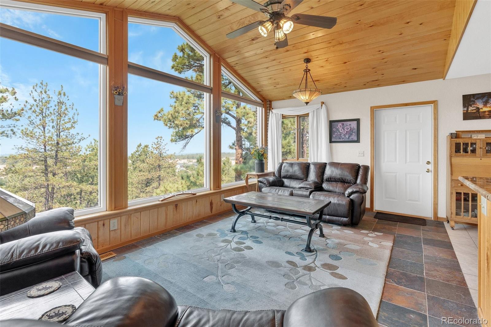 MLS Image #16 for 915 n bluff drive,franktown, Colorado