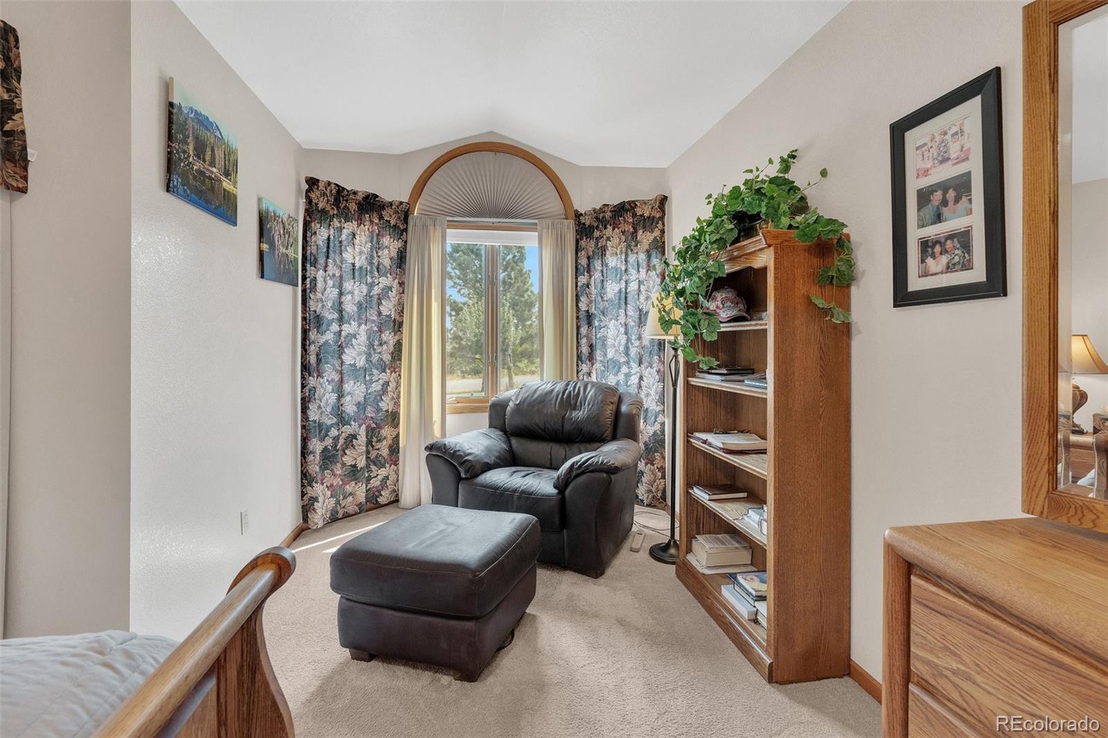 MLS Image #18 for 915 n bluff drive,franktown, Colorado