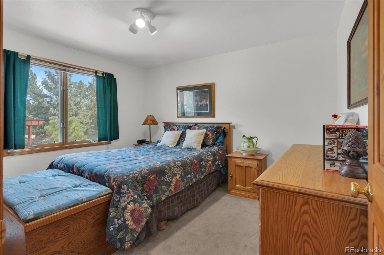 MLS Image #20 for 915 n bluff drive,franktown, Colorado