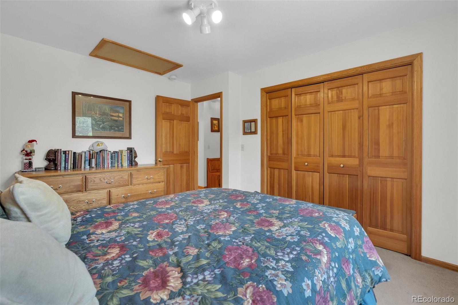 MLS Image #21 for 915 n bluff drive,franktown, Colorado