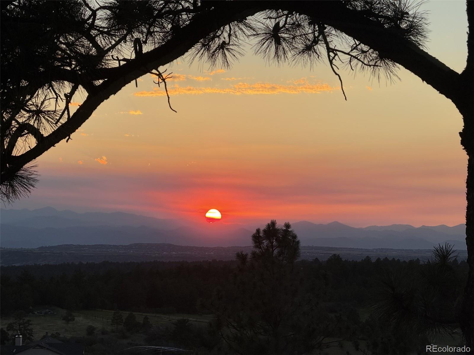 MLS Image #42 for 915 n bluff drive,franktown, Colorado