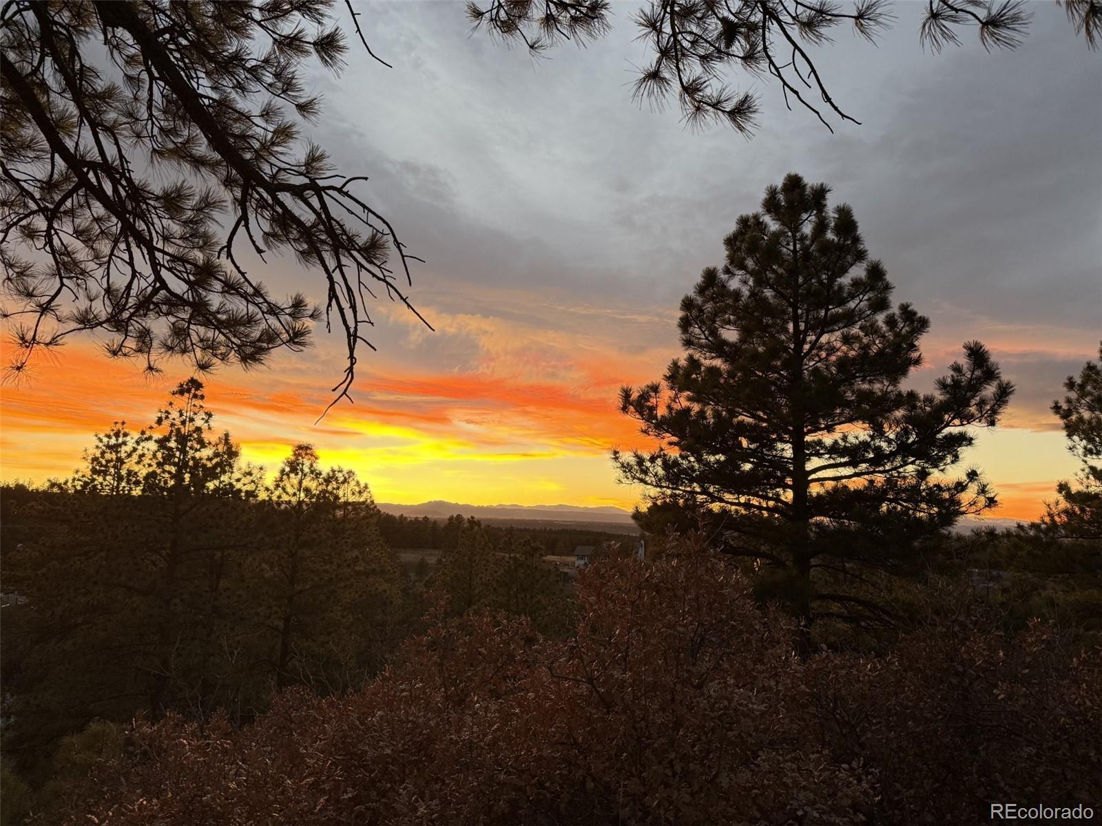 MLS Image #43 for 915 n bluff drive,franktown, Colorado