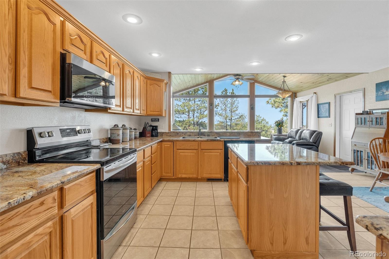 MLS Image #9 for 915 n bluff drive,franktown, Colorado