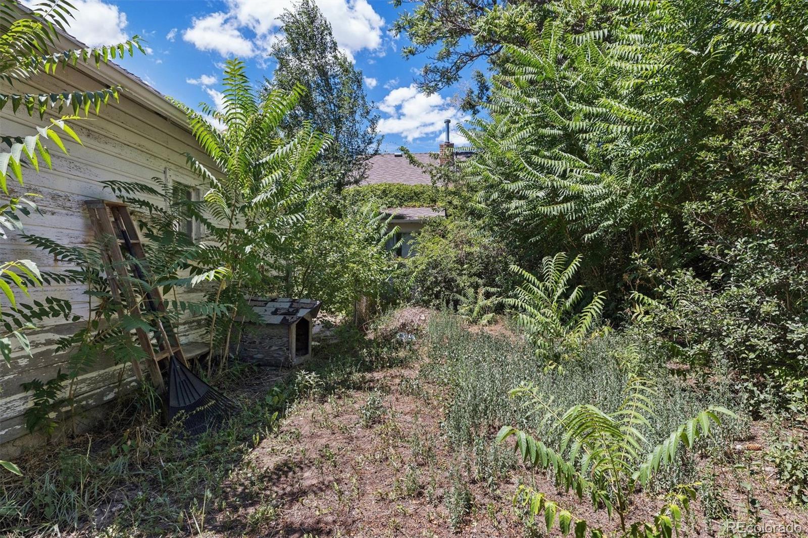 MLS Image #5 for 3058  eaton street,denver, Colorado