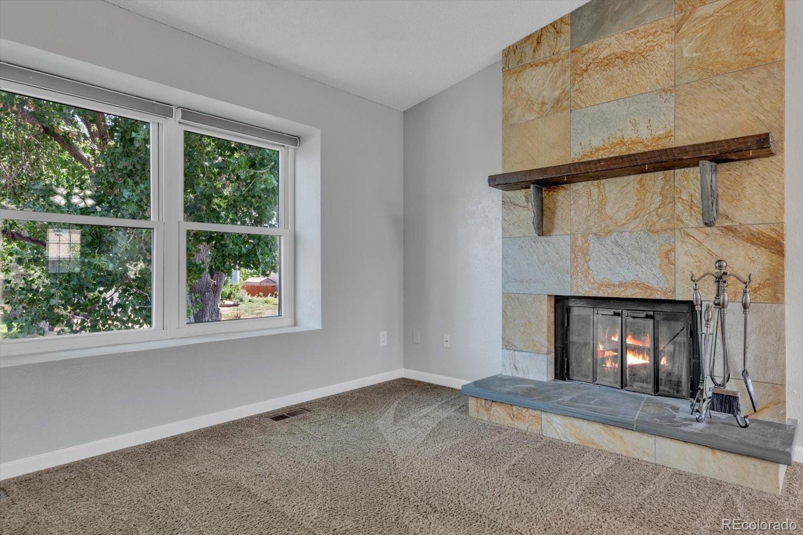 MLS Image #4 for 12429  ash drive,thornton, Colorado