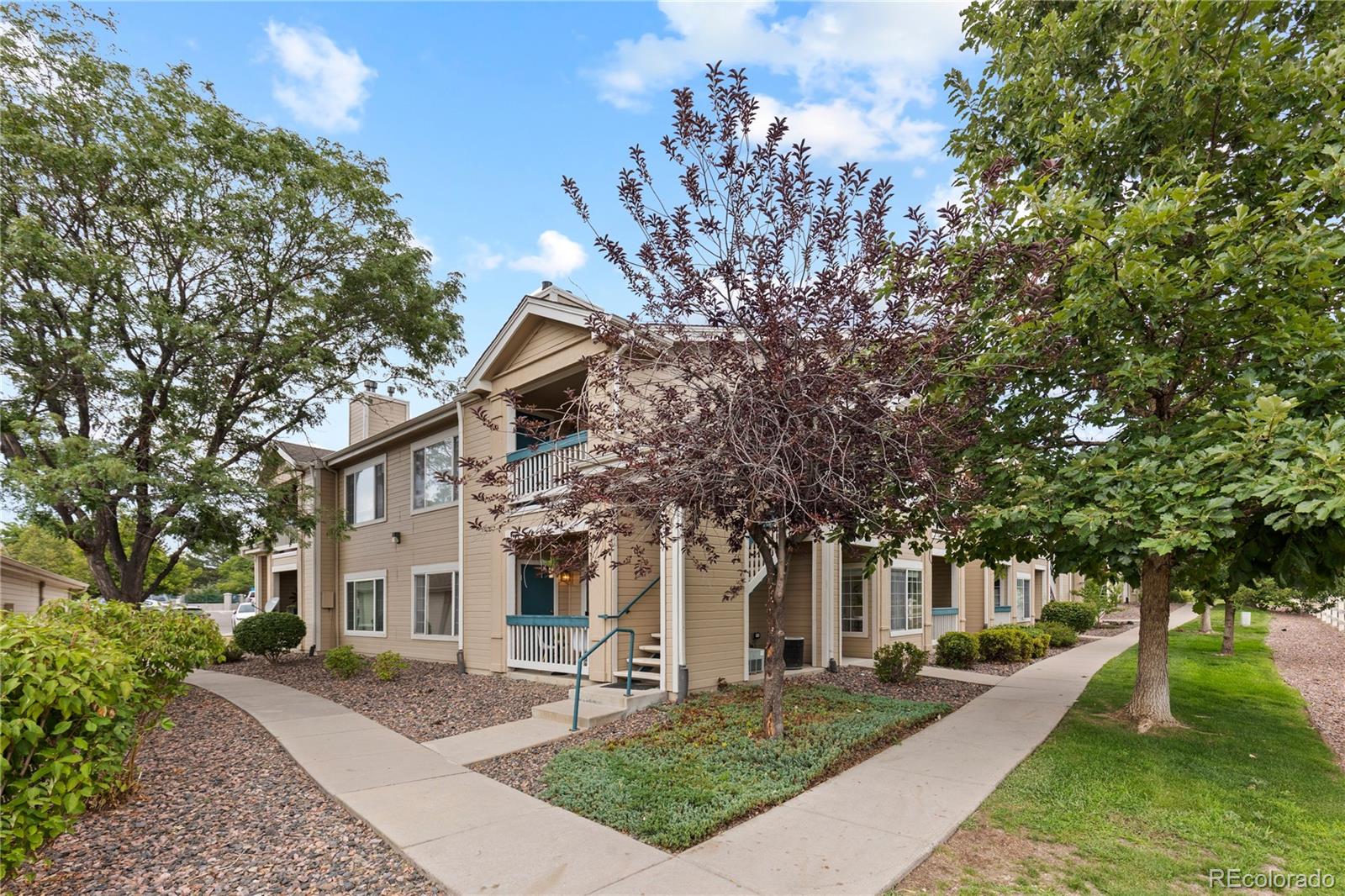 MLS Image #0 for 1186  opal street,broomfield, Colorado