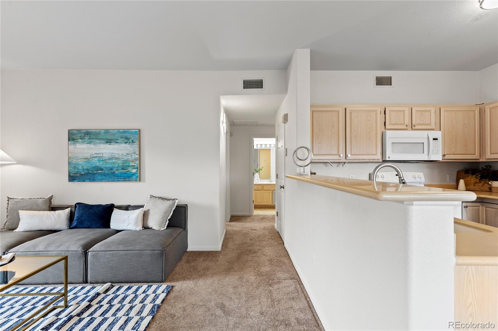 MLS Image #10 for 1186  opal street,broomfield, Colorado