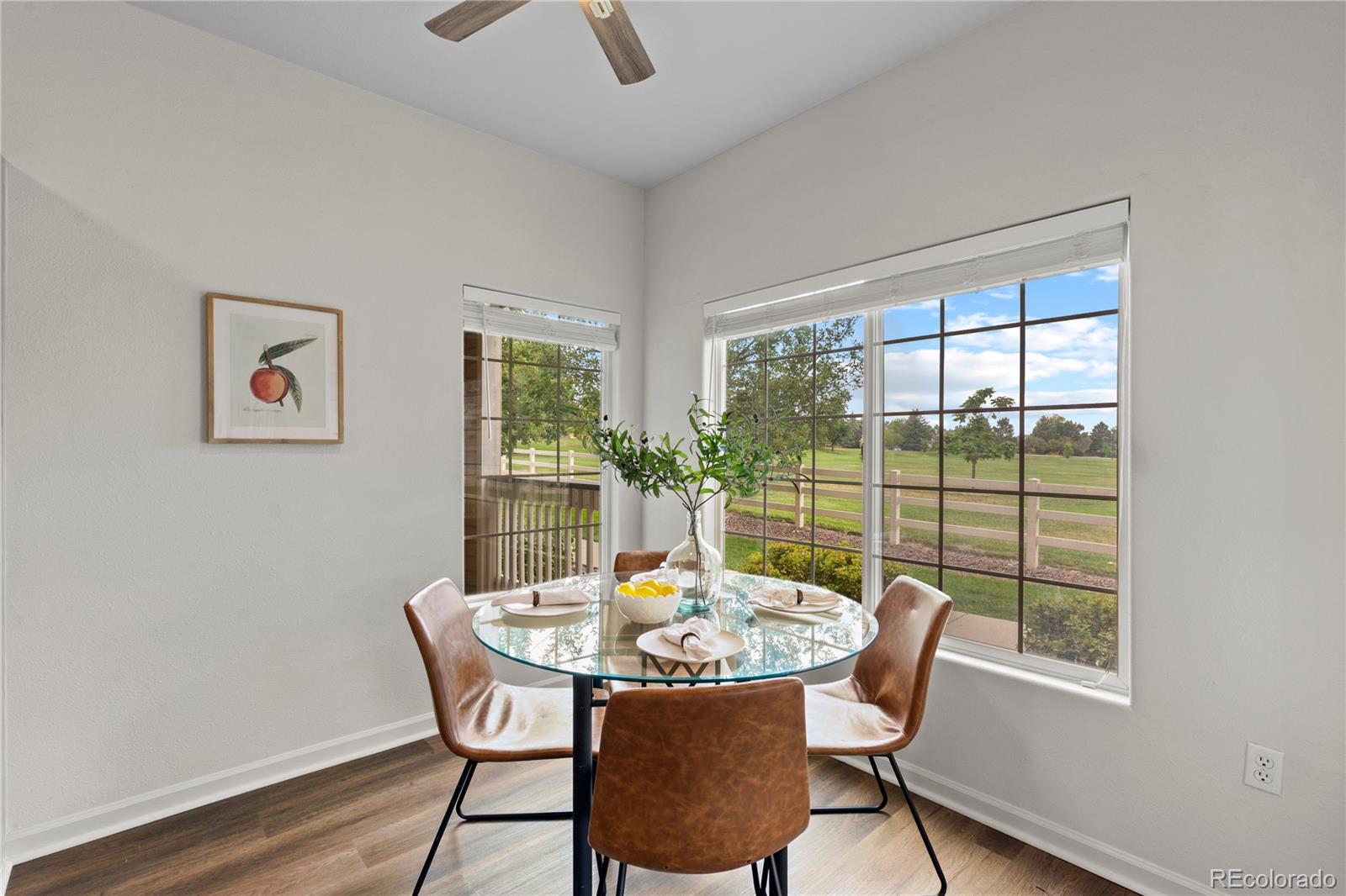 MLS Image #8 for 1186  opal street,broomfield, Colorado