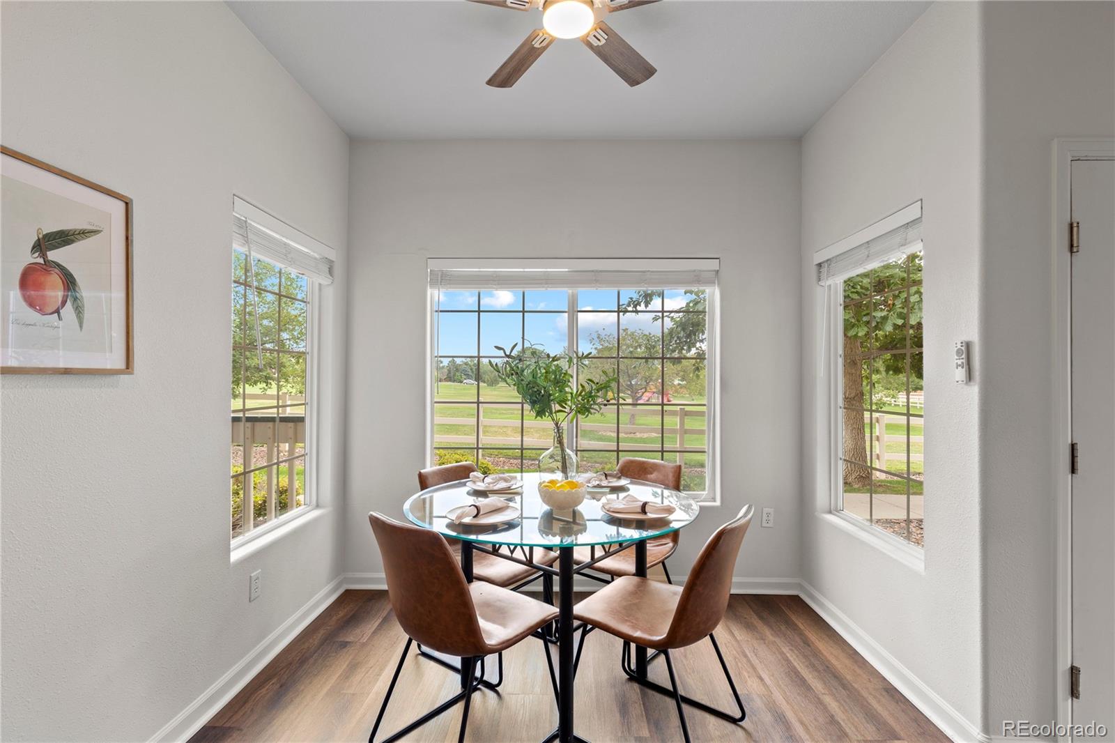 MLS Image #9 for 1186  opal street,broomfield, Colorado