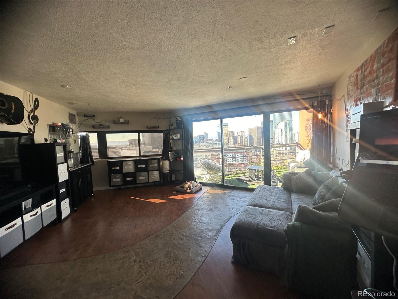 MLS Image #4 for 100  park avenue,denver, Colorado