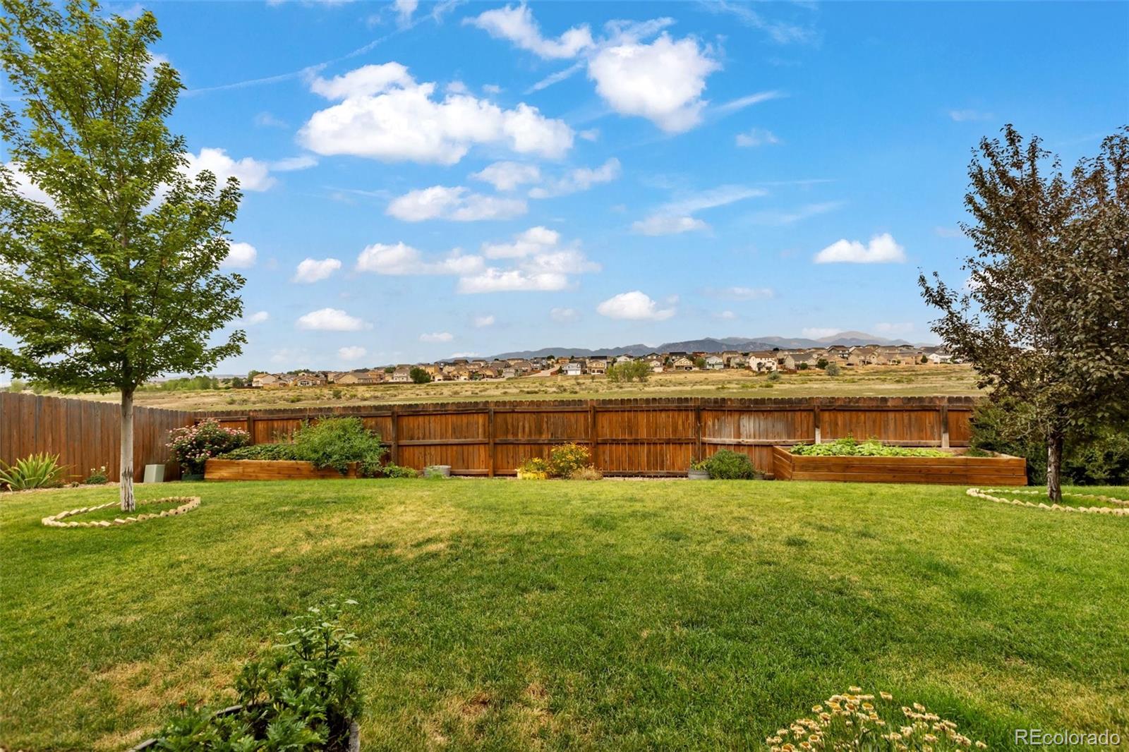 MLS Image #7 for 7492  bigtooth maple drive,colorado springs, Colorado