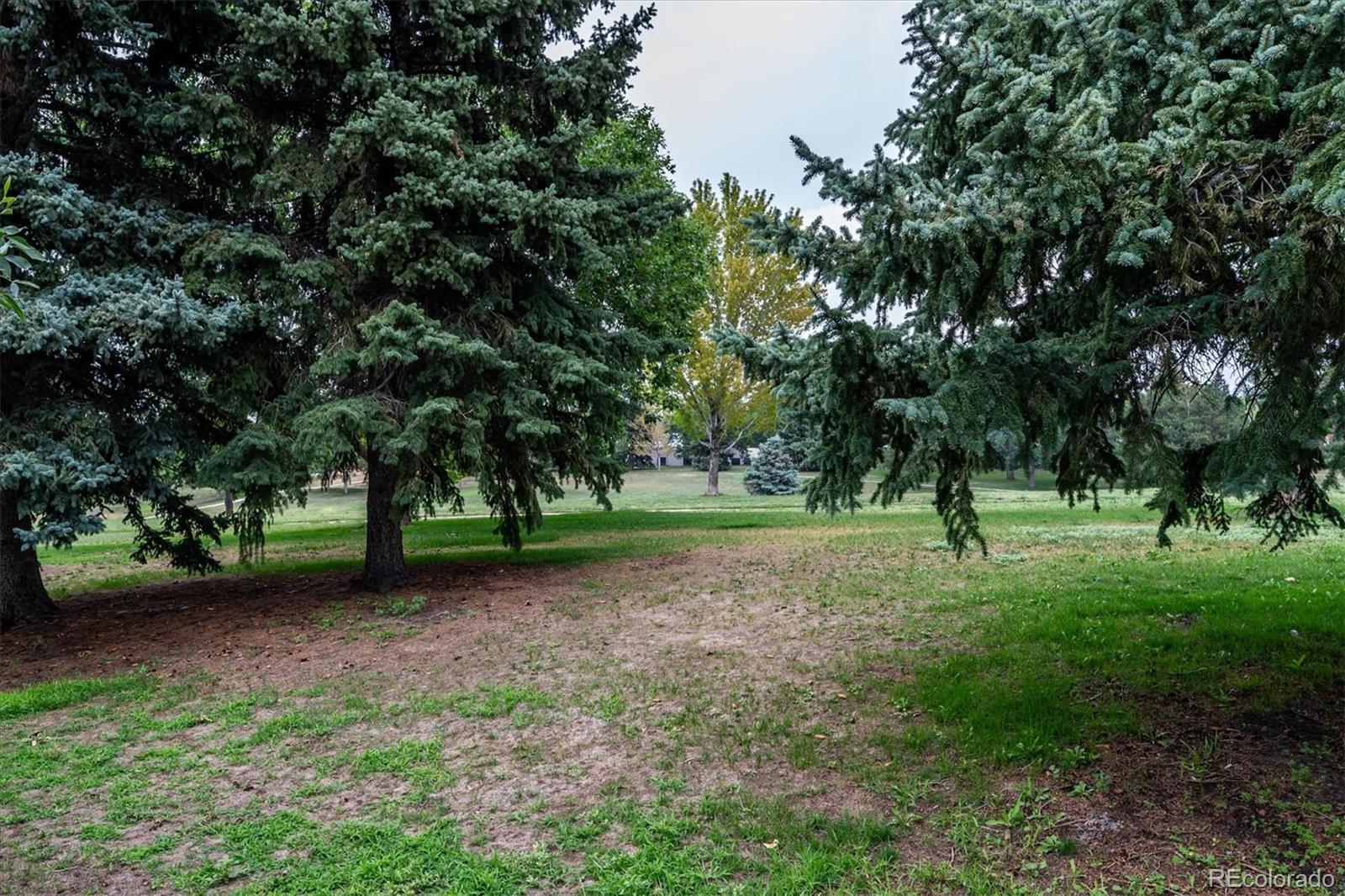 MLS Image #29 for 14767 e wagon trail drive,aurora, Colorado