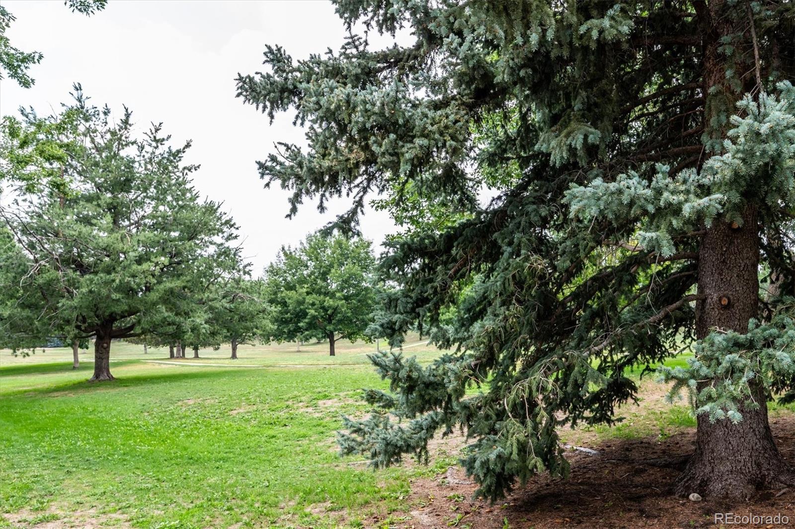 MLS Image #30 for 14767 e wagon trail drive,aurora, Colorado