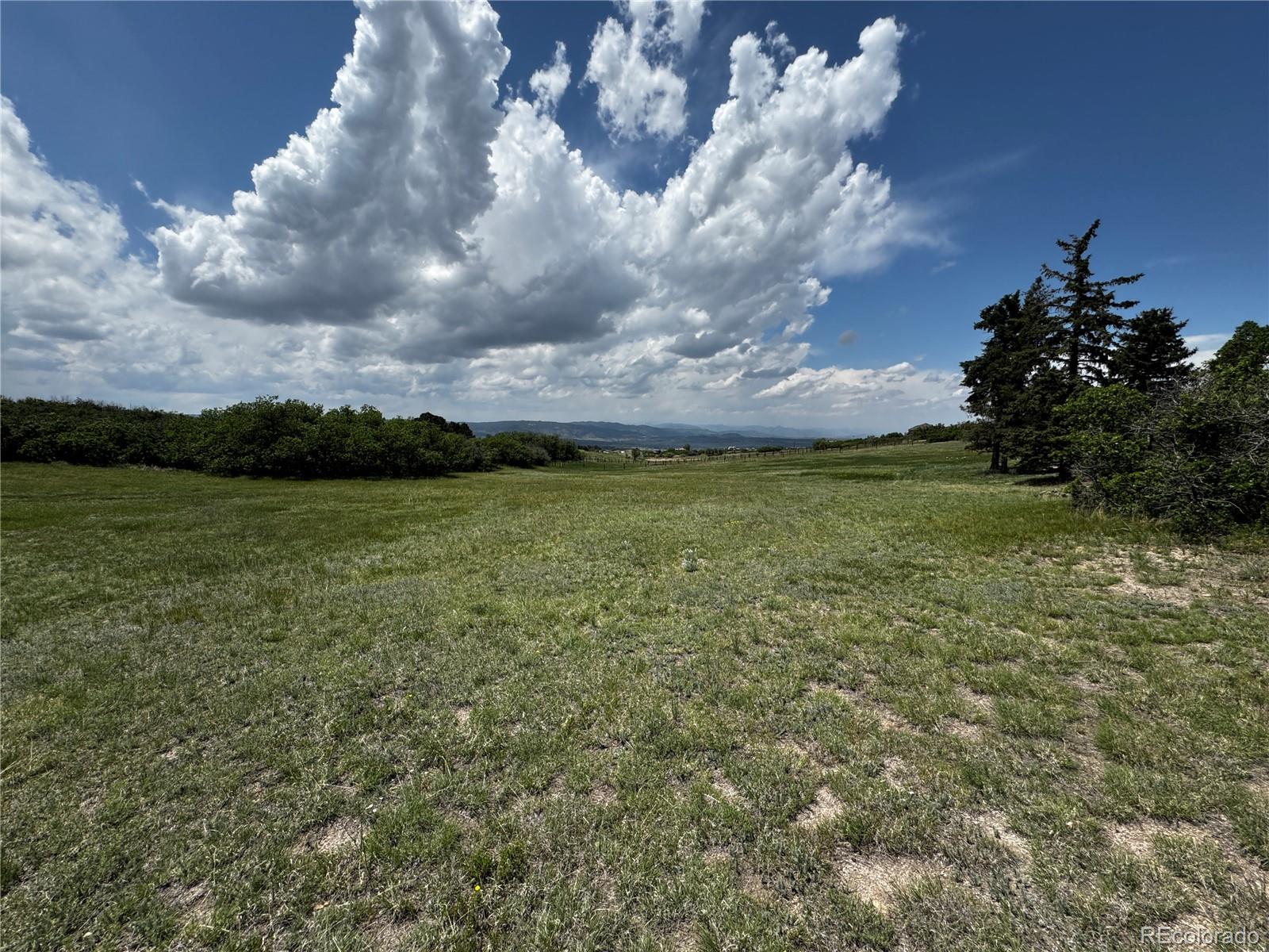 MLS Image #10 for 806  twin oaks road,castle rock, Colorado