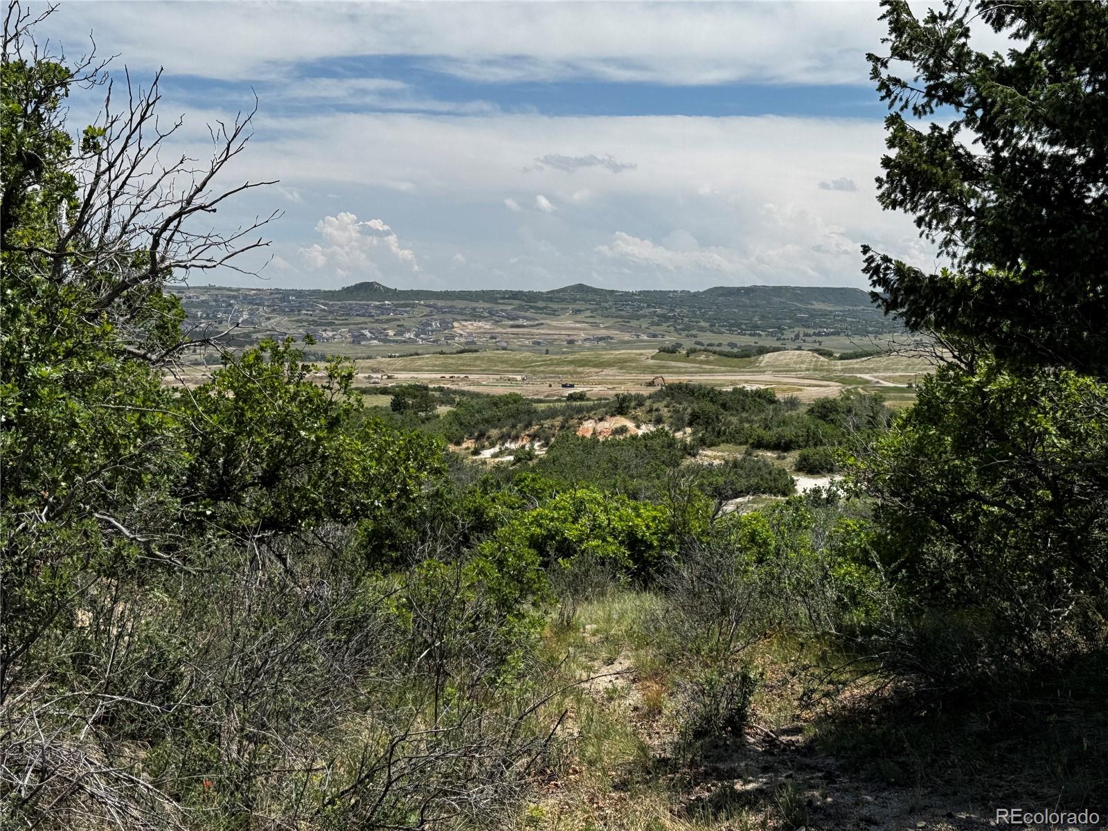 MLS Image #11 for 806  twin oaks road,castle rock, Colorado